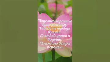 Доброе утро.