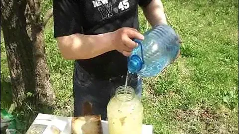 Настойка Имбирная (drink - ginger tincture)