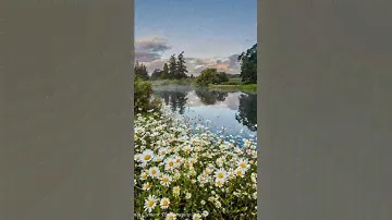 Картинки с цветами. Немного летнего настроения🌷💐