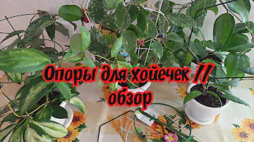 Опоры для хойечек // обзор
