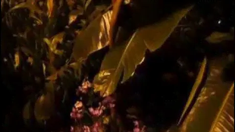 "Азбука штор" посетила фестиваль Архидей.