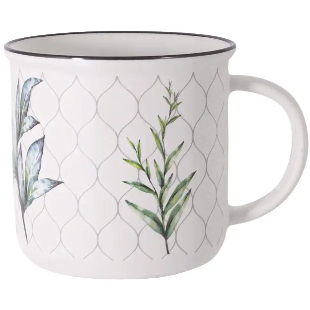 Кружка Ботаника, 0.4л - HS5-TC988-A19105-D Home & Style-0