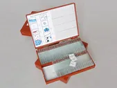Комплект микропрепаратов Ботаника 1 (110 шт)