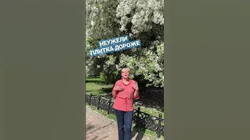 Неужели плитка дороже #бордюринг #Бирюков #Мосзеленхоз