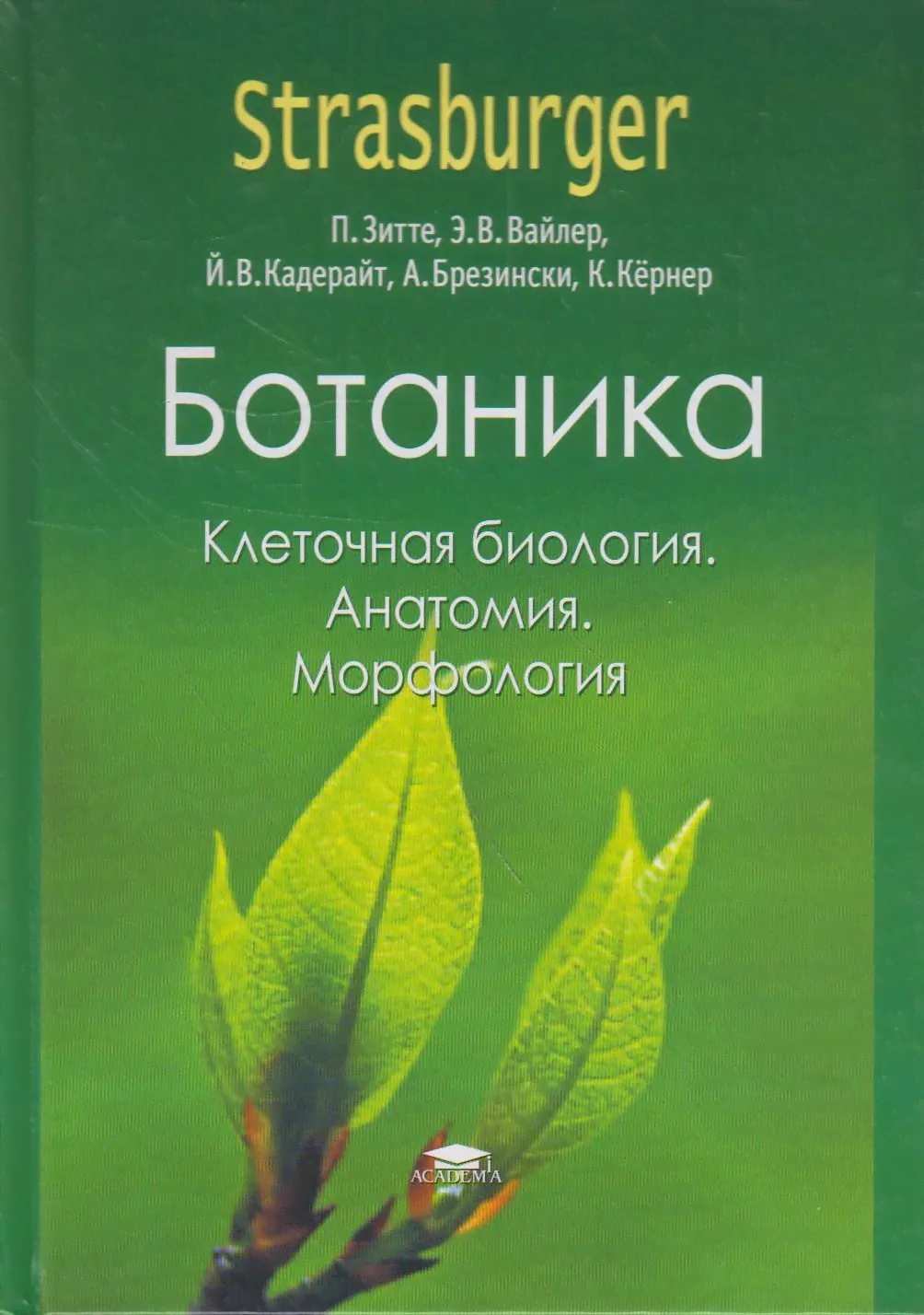 Ботаника: учебник для вузов. В 4 т. Т. 1. Клеточная биология. Анатомия. Морфология