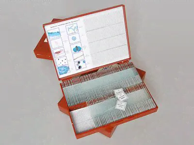 Комплект микропрепаратов Ботаника 1 (110 шт)