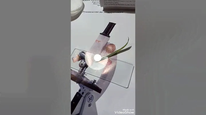 Приготовление микропрепарата