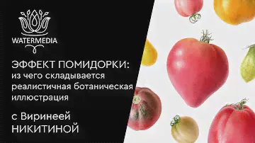 «Эффект помидорки»:  из чего складывается реалистичная ботаническая иллюстрация?